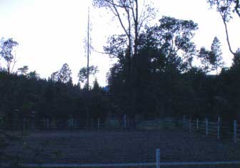 dusk