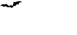 flybat